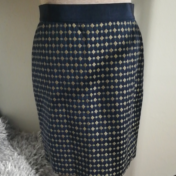 Ann Taylor skirt NWT - Picture 2 of 9